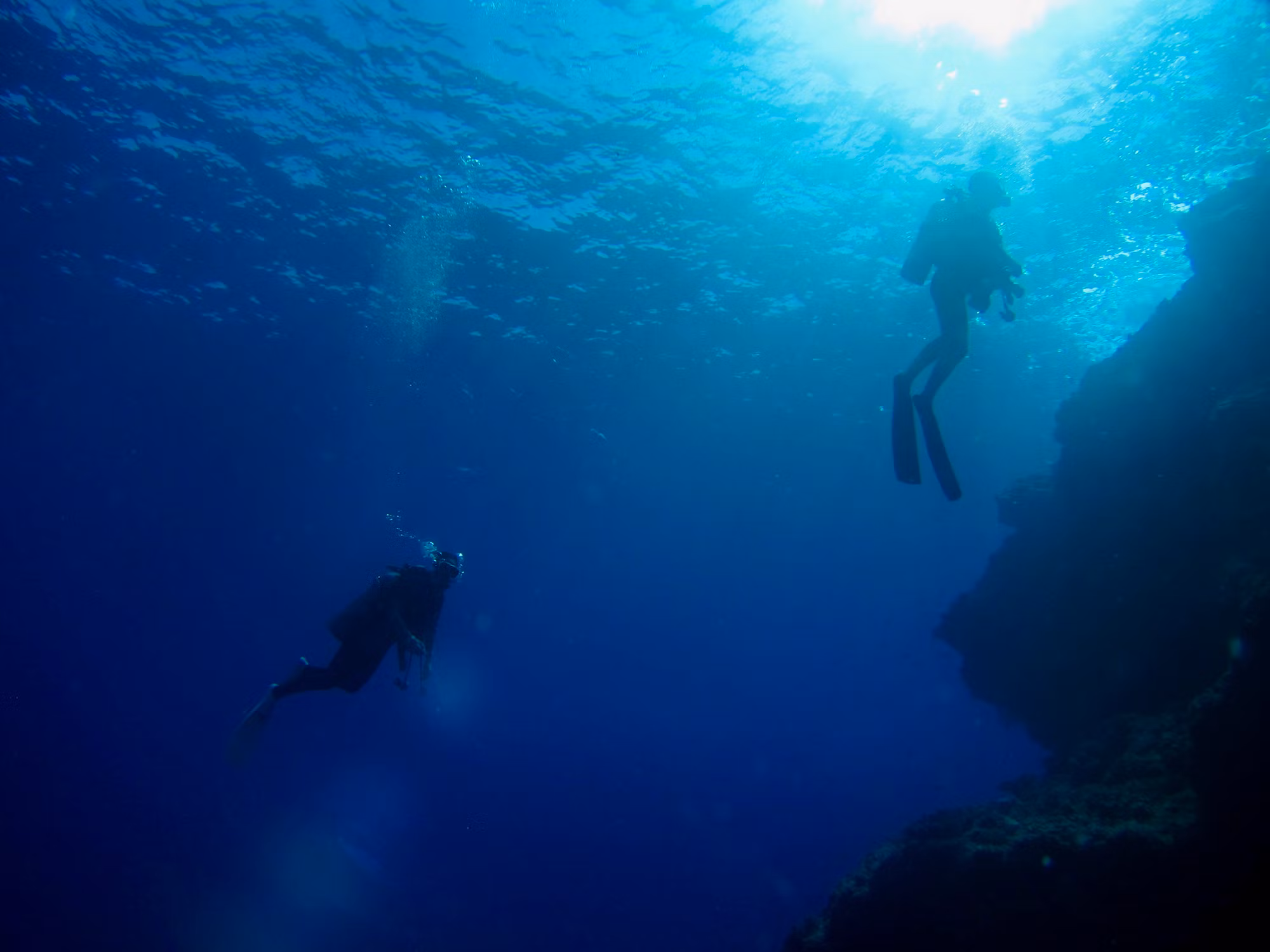 Diving Into the Blue: An Exploration of Underwater Activities