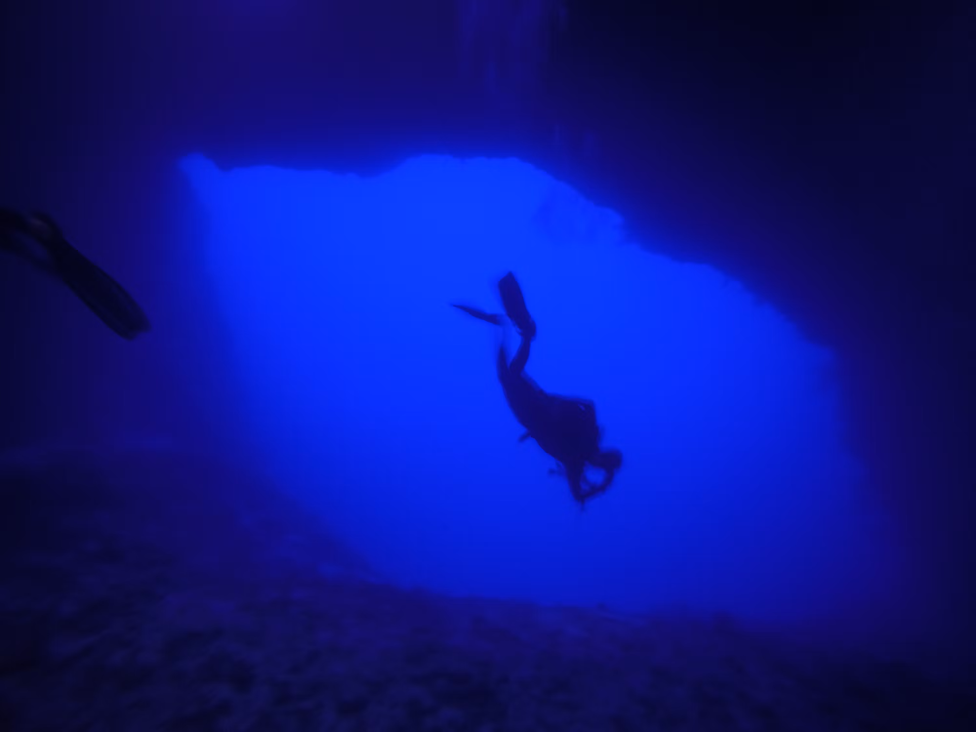 Diving into Adventure: A Comprehensive Exploration of Underwater Activities