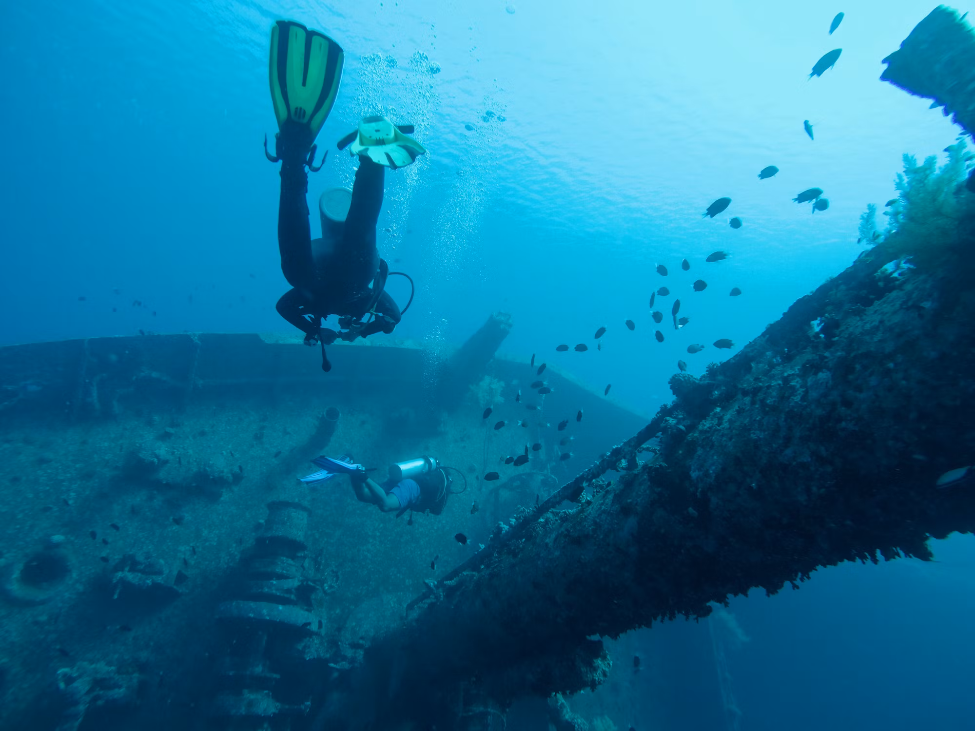Beneath the Surface: Exploring the Diverse World of Diving